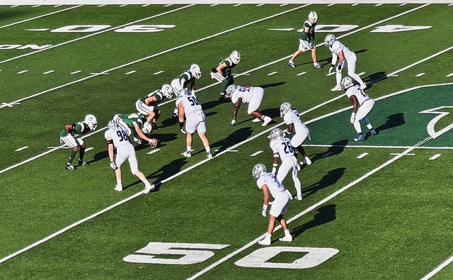 禁区守护者 禁区守护者