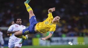 今日分享N 今日分享N