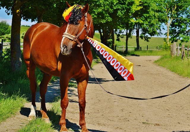 海国际音乐 海国际音乐